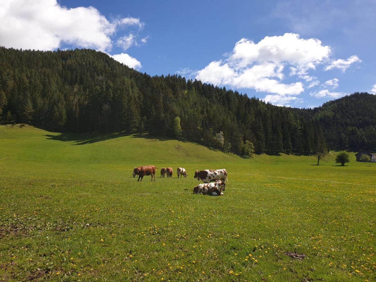 Bauernhof Moar Lägenhet Kernhof Exteriör bild