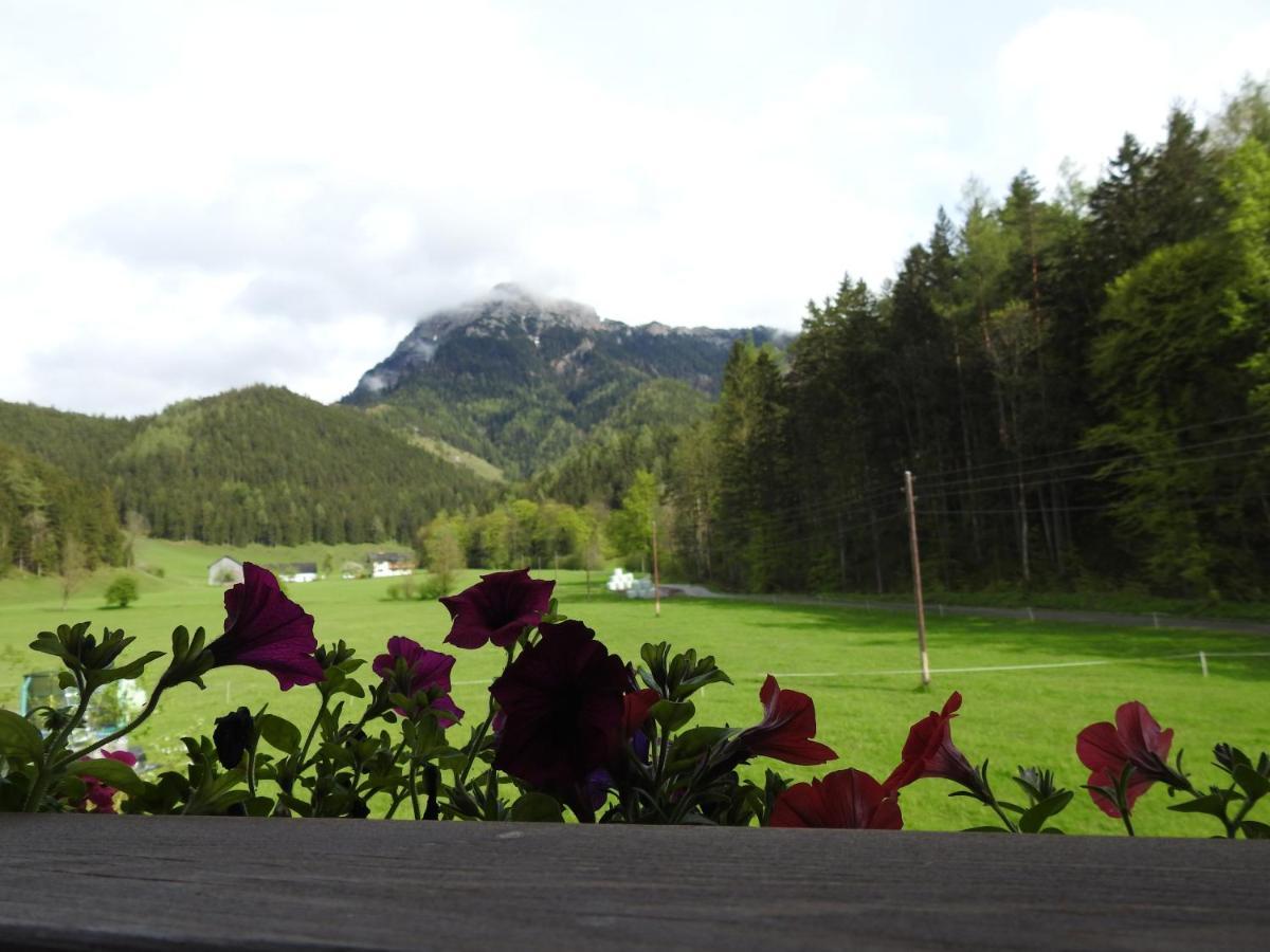 Bauernhof Moar Lägenhet Kernhof Exteriör bild