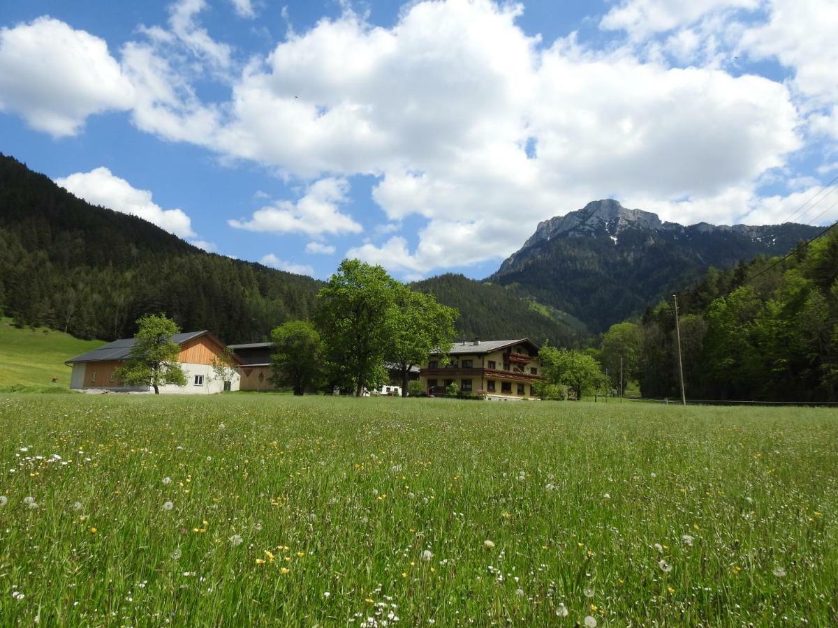 Bauernhof Moar Lägenhet Kernhof Exteriör bild